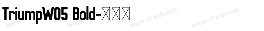 TriumpW05 Bold字体转换